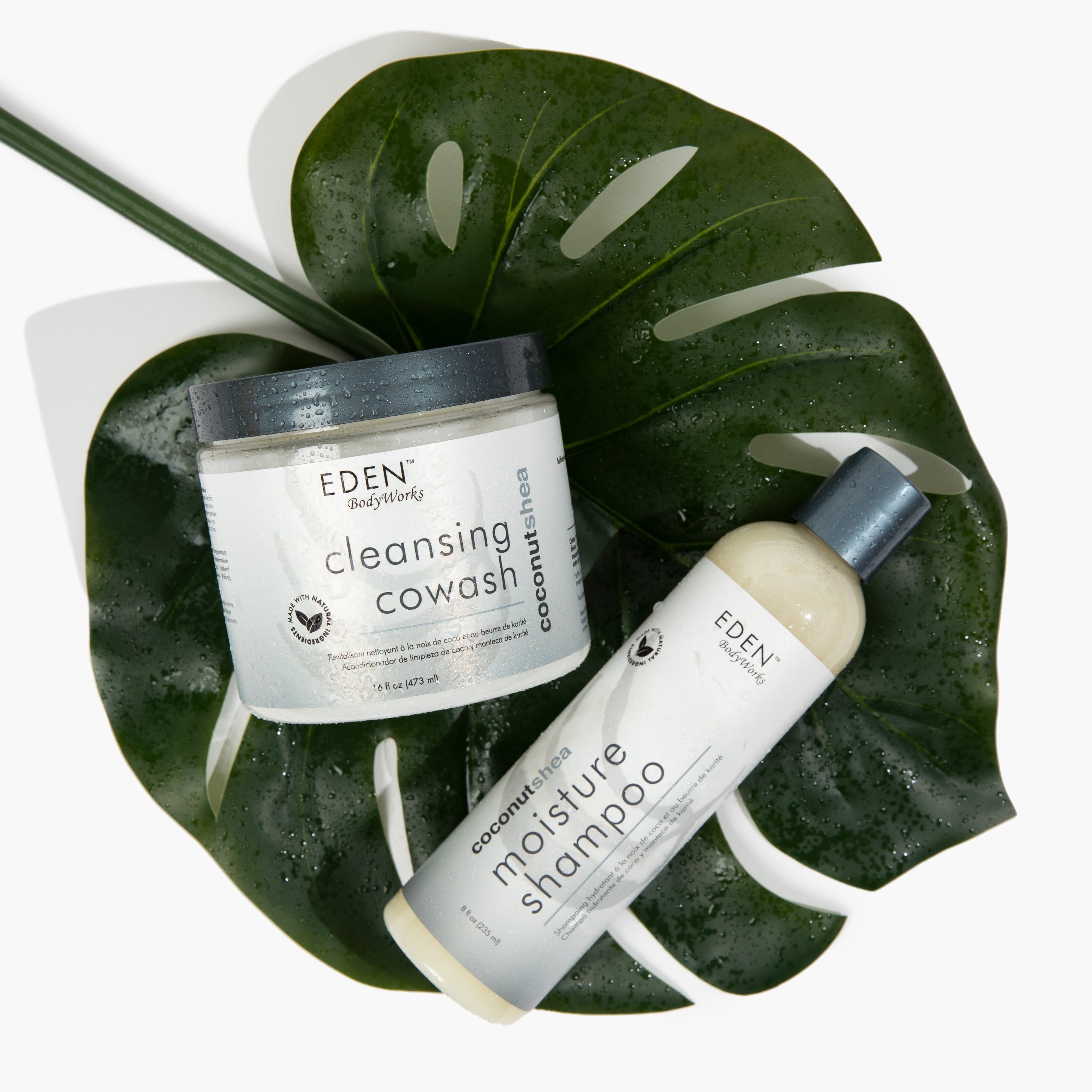 Coconut Shea Cleansing Cowash and Moisture Shampoo
