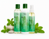 Image of EDEN Body Works Scalp Refresh Bundle containing Peppermint Tea Tree Clarifying Shampoo, Peppermint Tea Tree Detangling Conditioner, and Peppermint Tea Tree Hair Oil