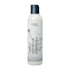 coconut shea shampoo - EDEN BodyWorks